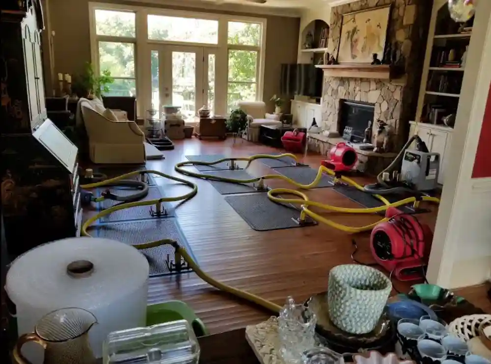 WDR PRO’s - Water Damage Restoration Service